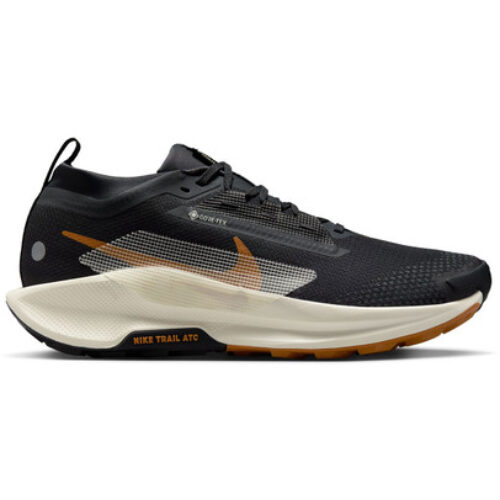 Nike Pegasus Trail 5 GTX Homme Noir