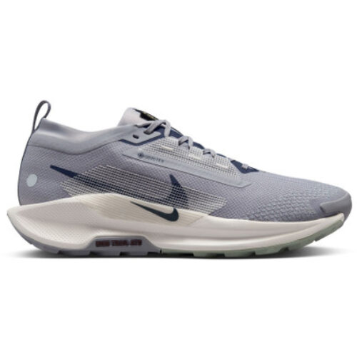 Nike Pegasus Trail 5 GTX Homme Gris
