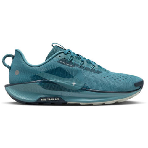 Nike Pegasus Trail 5 Homme Bleu