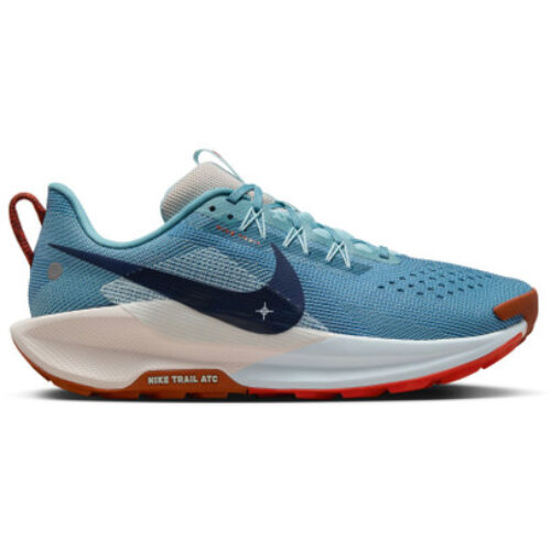 Nike Pegasus Trail 5 Homme Bleu