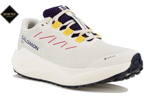 Salomon Aero Blaze 3 GRVL Gore-Tex Blanc