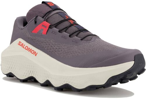 Salomon Ultra Glide 3 Gris Argent