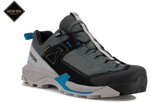 Salomon X Ultra Alpine Gore-Tex Gris